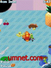 game pic for Namco Katamari Mobile